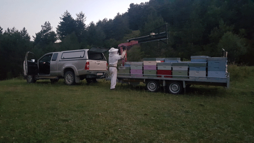Rucher de la Haute Vallée de l Asse production du miel de Montagne